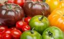 Rozmaite odmiany pomidora