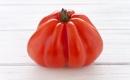 Pomidor typu Bawole Serce