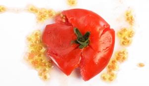 Pomidor z nasionami