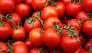 Pomidory odmiany Kalimba - doskonałe do sałatek