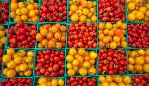 Pomidorki koktajlowe - różne odmiany