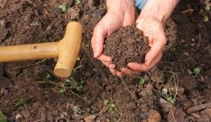 Próchnica glebowa to jeden z najważniejszych czynników decydujący o żyzności gleby