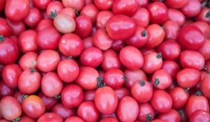 Pomidor Malinowy Kapturek 