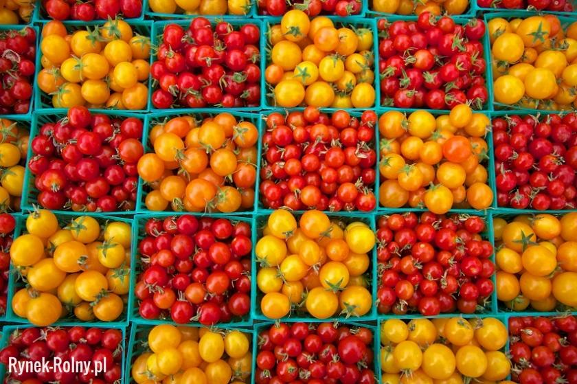 Pomidorki koktajlowe - różne odmiany
