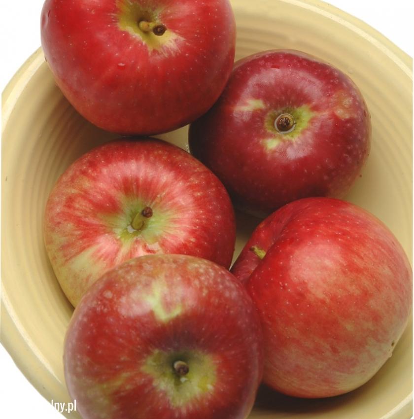 Jabłka odmiany Paulared