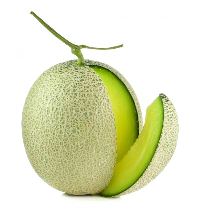 Melon Model